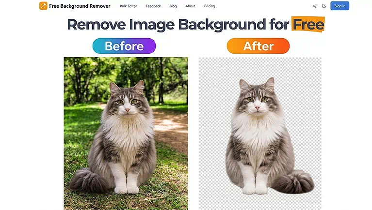 Effortlessly strip backgrounds using Free Background Remover to highlight every detail of cat’s fluffy fur.