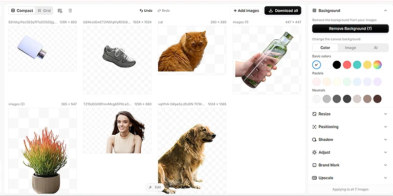 Successfully processed 7 images in one batch, with paid access required to download batch results.