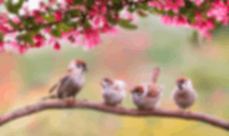 Test input: JPG image of four birds, with pink blossoms, 612 × 364 pixels, with an original file size of 42.3 KB.