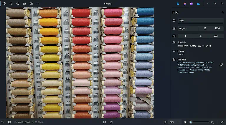 The image shows Zamzar preserving the original HEIC metadata, retained in the converted PNG file.