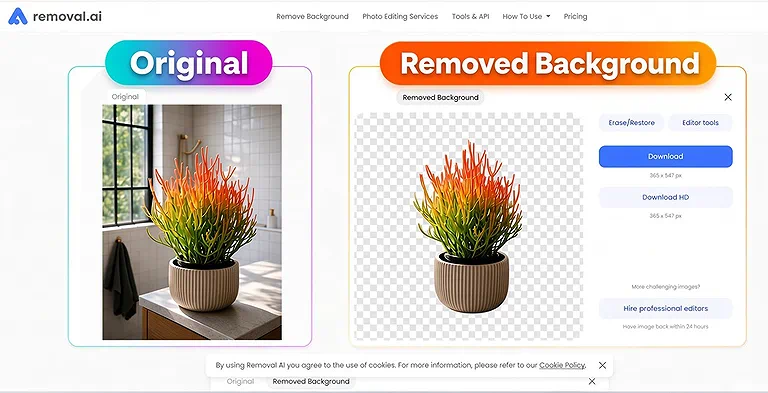 Excellent background removal with clean plant isolation and well preserved fine stems, tips, and color details.