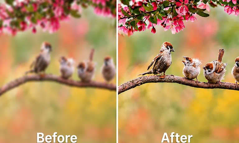 ChatGPT: Before-and-after comparison showing the difference in image clarity, sharpness, and fine details.