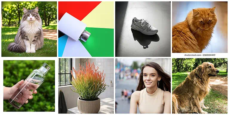 Test Images: Images covering complex backgrounds, shadows, transparency, fur, hair, and fine details.