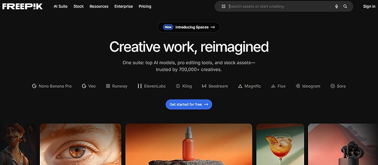 Your official look at the Freepik official source interface